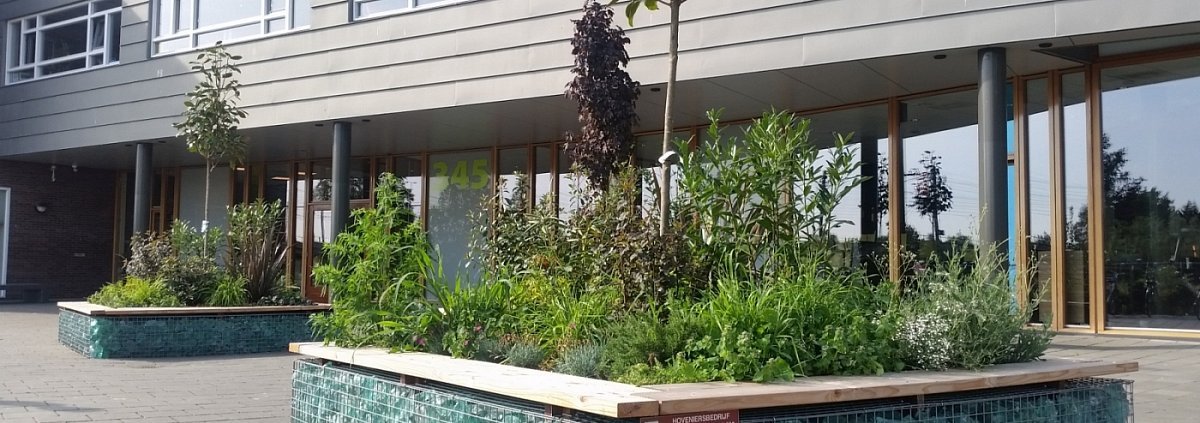 Schoolplein bovenbouw